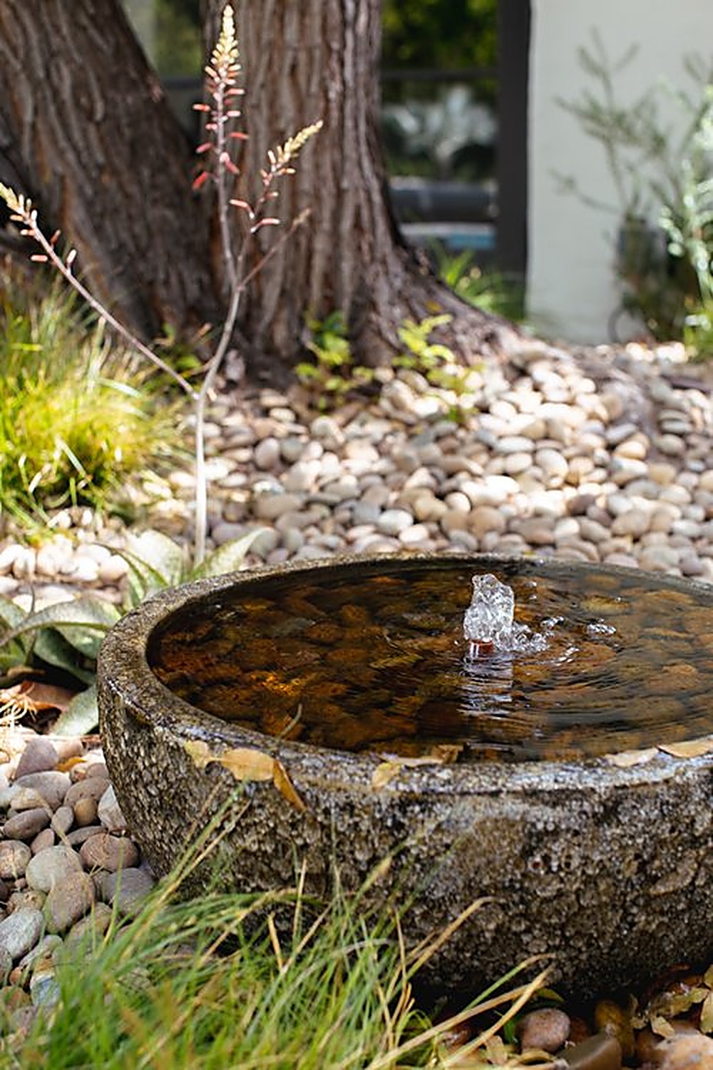 McCadden garden, Los Angeles landscape design by Hommes + Gardens, view 3