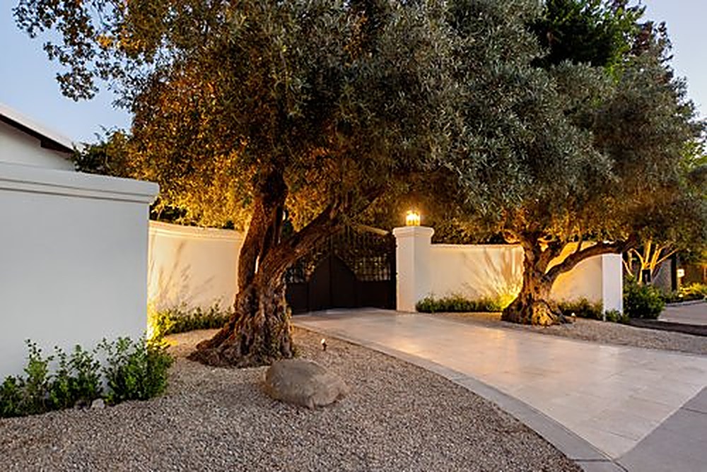 Valley Vista, Los Angeles landscape design project by Hommes + Gardens