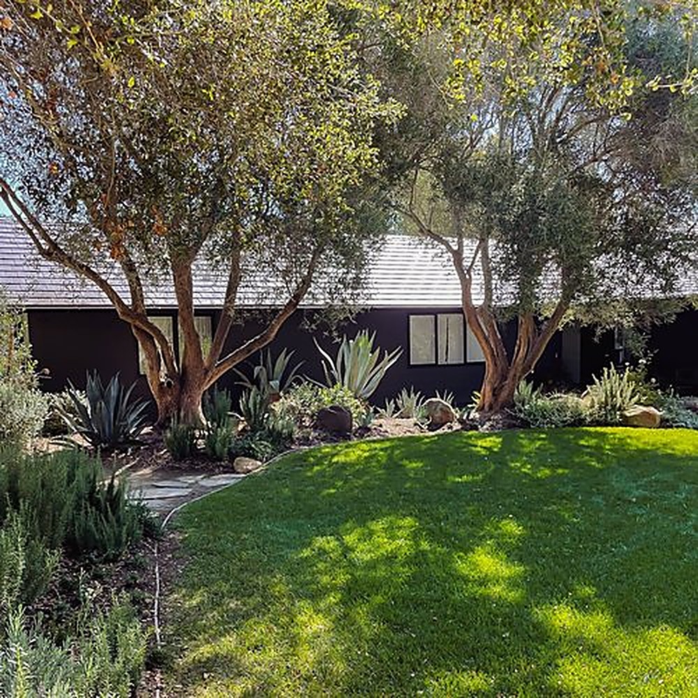 San Ysidro, Los Angeles landscape design project by Hommes + Gardens