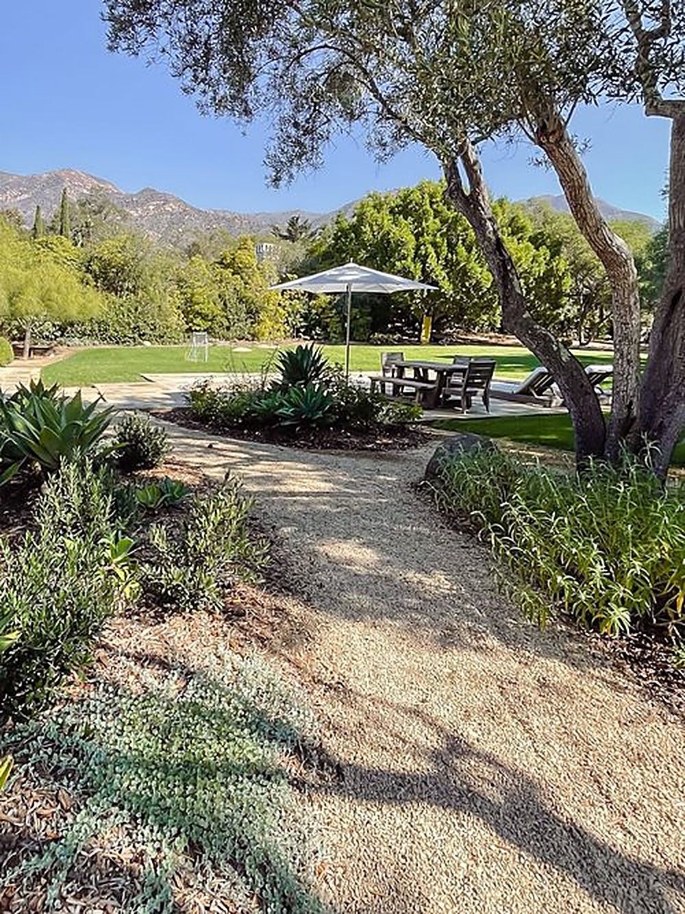 San Ysidro garden, Los Angeles landscape design by Hommes + Gardens, view 1