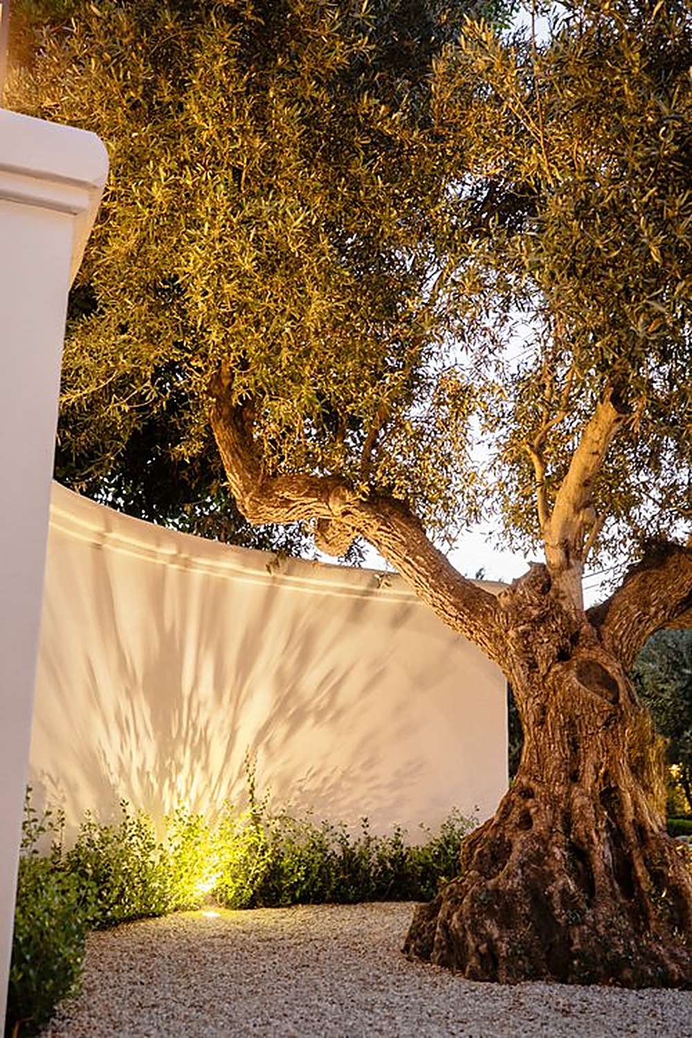 Valley Vista garden, Los Angeles landscape design by Hommes + Gardens, view 4