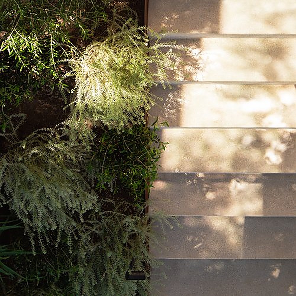 Encino Hills garden, Los Angeles landscape design by Hommes + Gardens, view 8