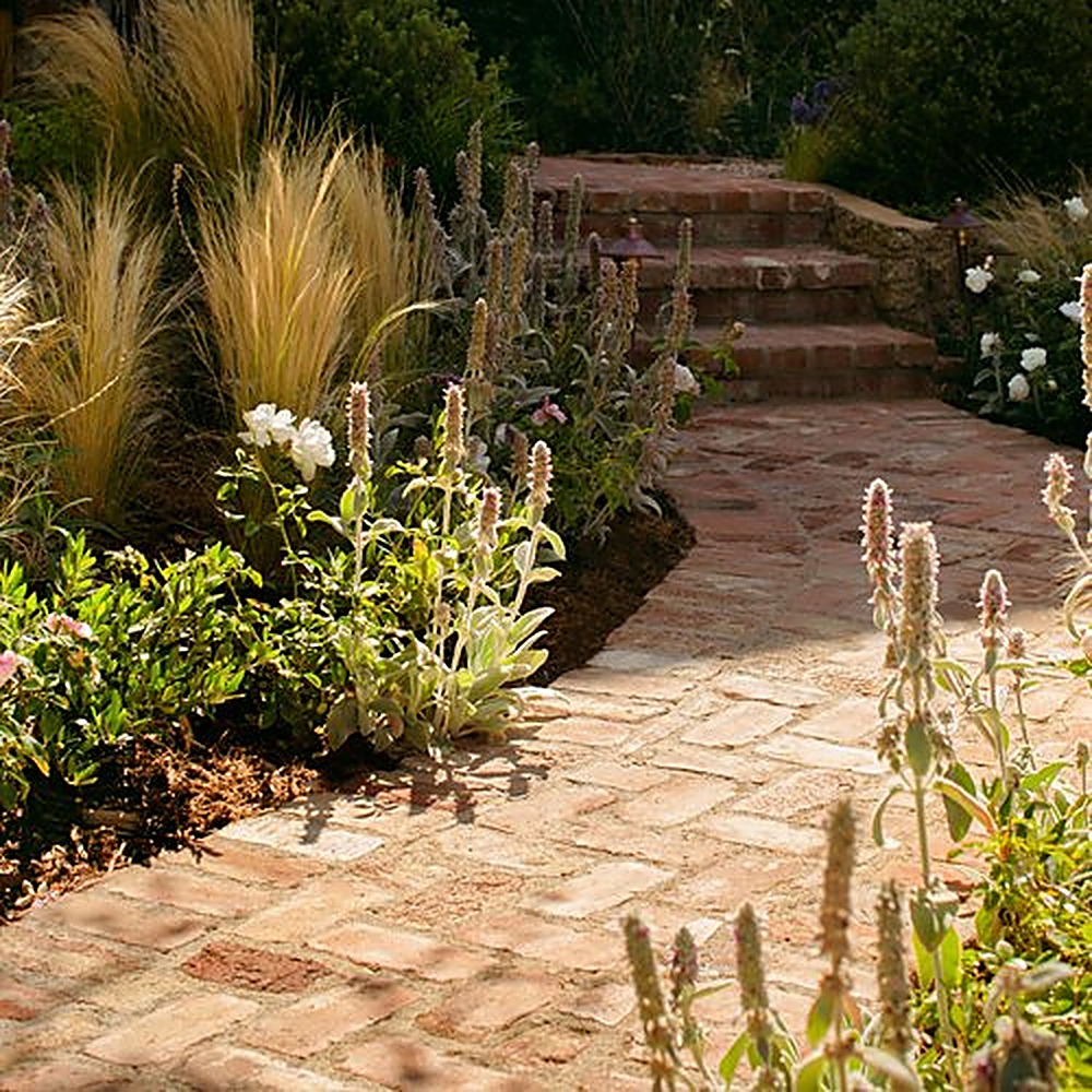 Miami Way garden, Los Angeles landscape design by Hommes + Gardens, view 6