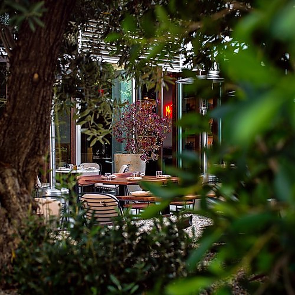 Sycamore garden, Los Angeles landscape design by Hommes + Gardens, view 6
