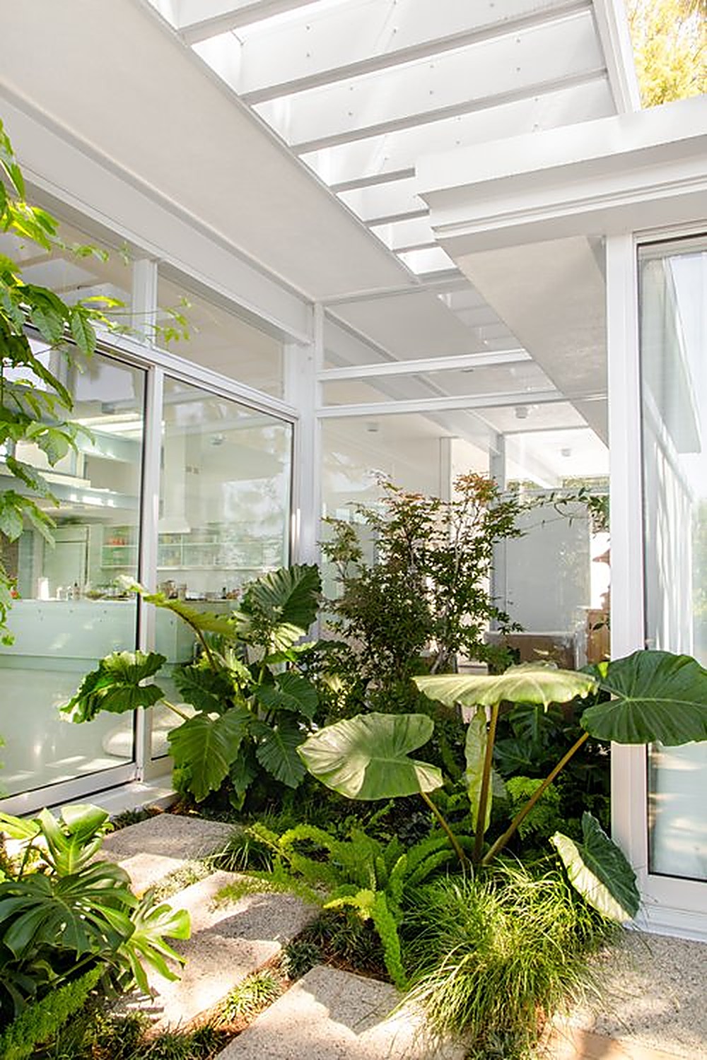 Holly Oak garden, Los Angeles landscape design by Hommes + Gardens, view 8