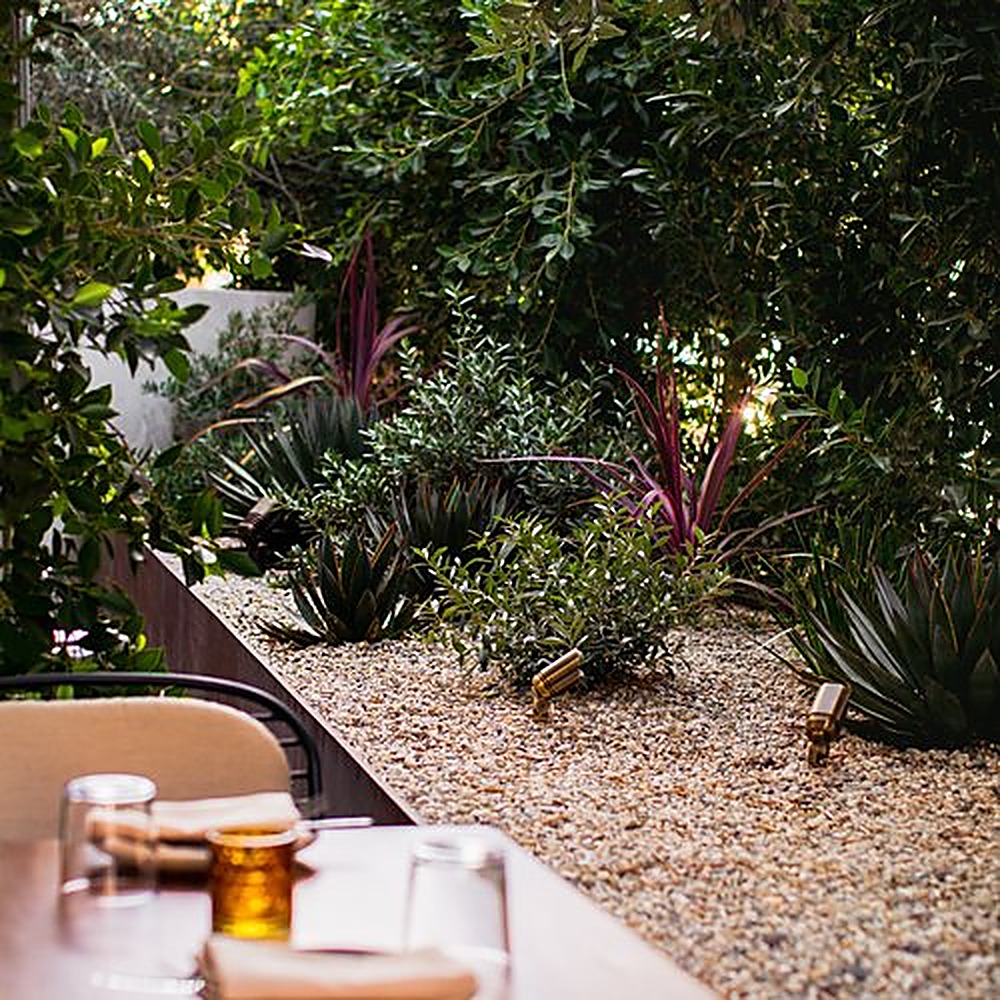 Sycamore, Los Angeles landscape design project by Hommes + Gardens