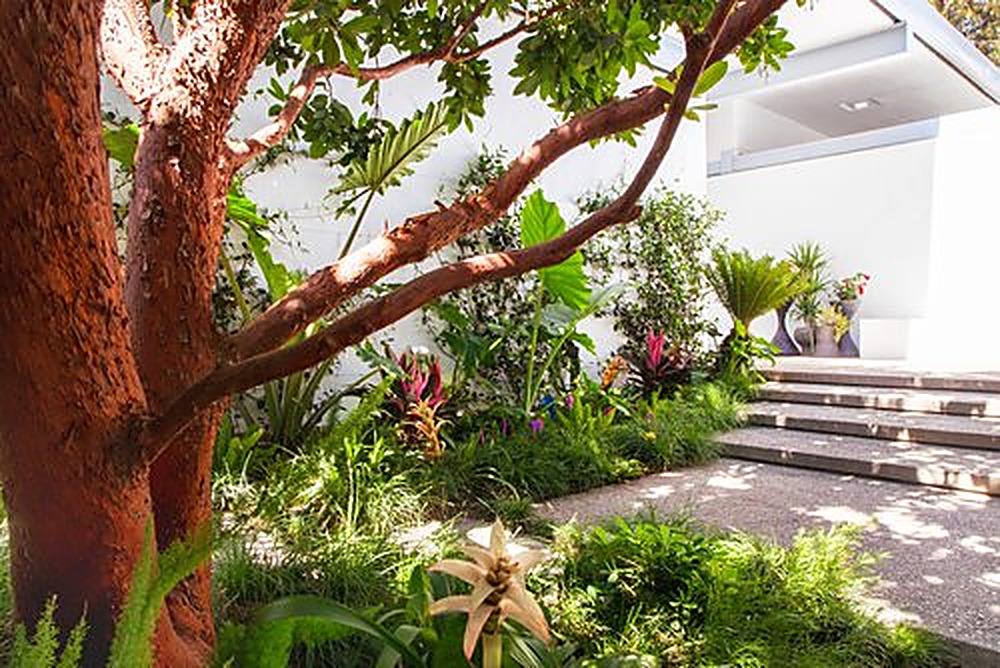 Holly Oak garden, Los Angeles landscape design by Hommes + Gardens, view 5