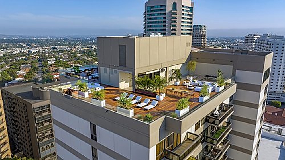Wilshire Penthouse garden, Los Angeles landscape design by Hommes + Gardens, view 2