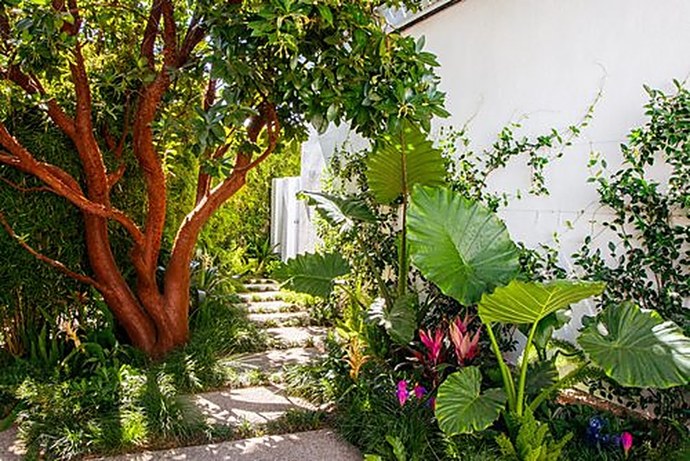 Holly Oak, Los Angeles landscape design project by Hommes + Gardens