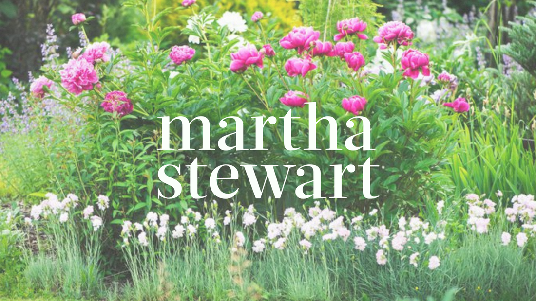 Hommes + Gardens Featured in Martha Stewart: Expert Peony Care
