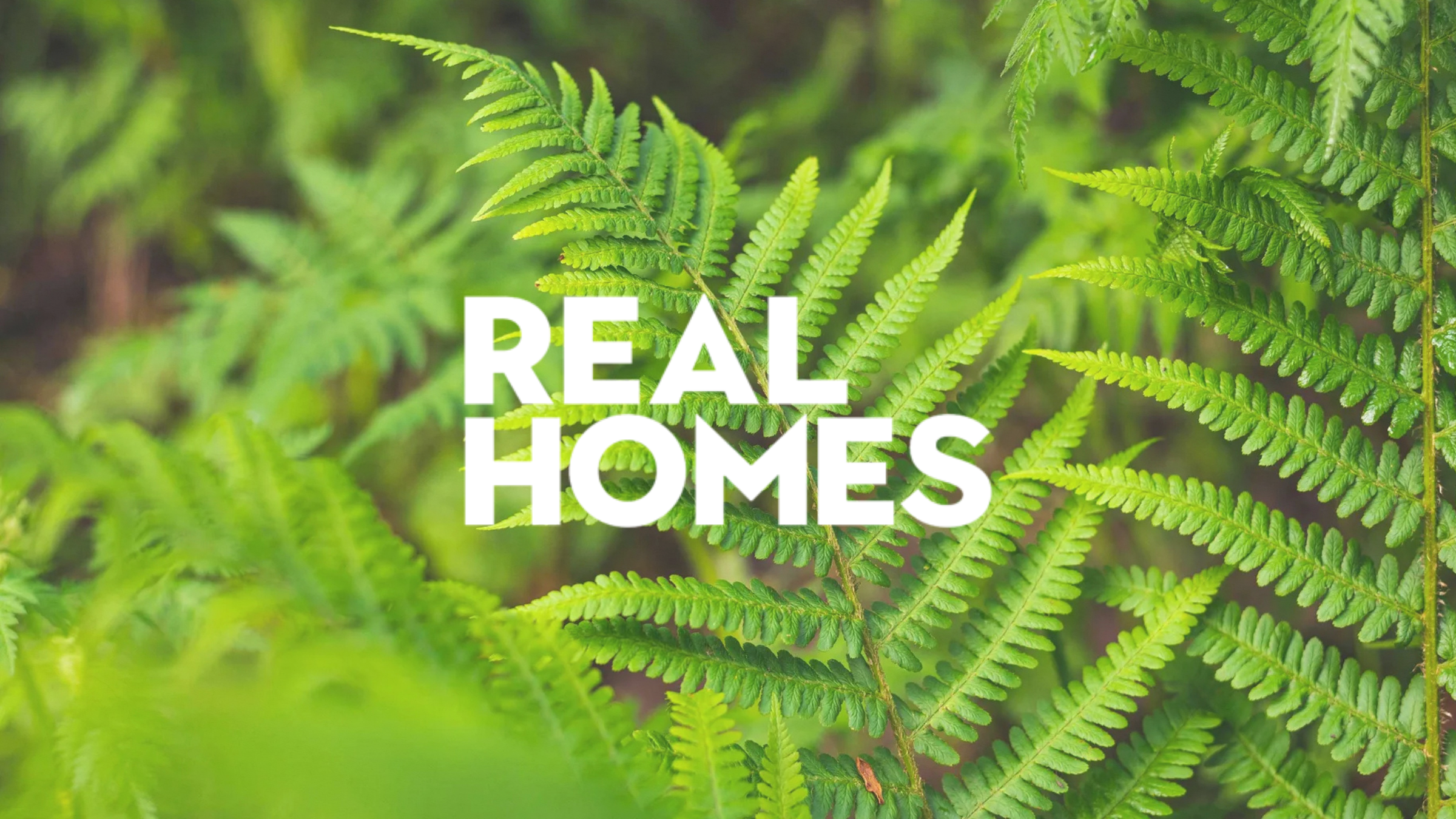 Michael O’Brien of Hommes + Gardens in Real Homes: How to Make Ferns Look Effortless