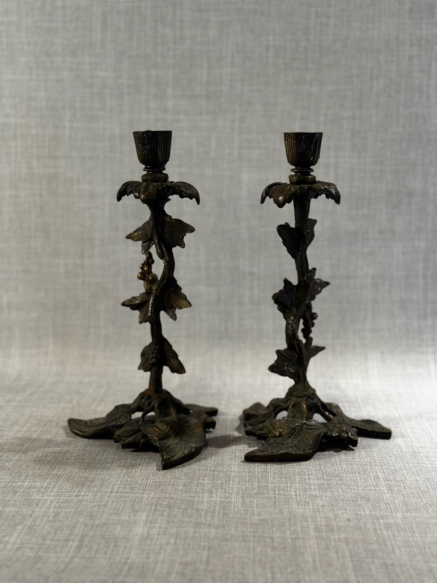 Pair of Antique Cast Bronze Grapevine Candlesticks – Ornate Nature-Inspired Design, 19th Century