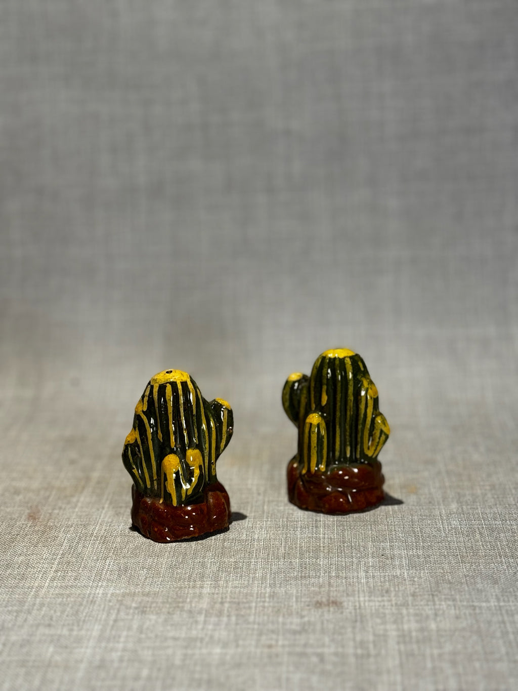 cactus salt and pepper shakers ceramic shaker set desert decor