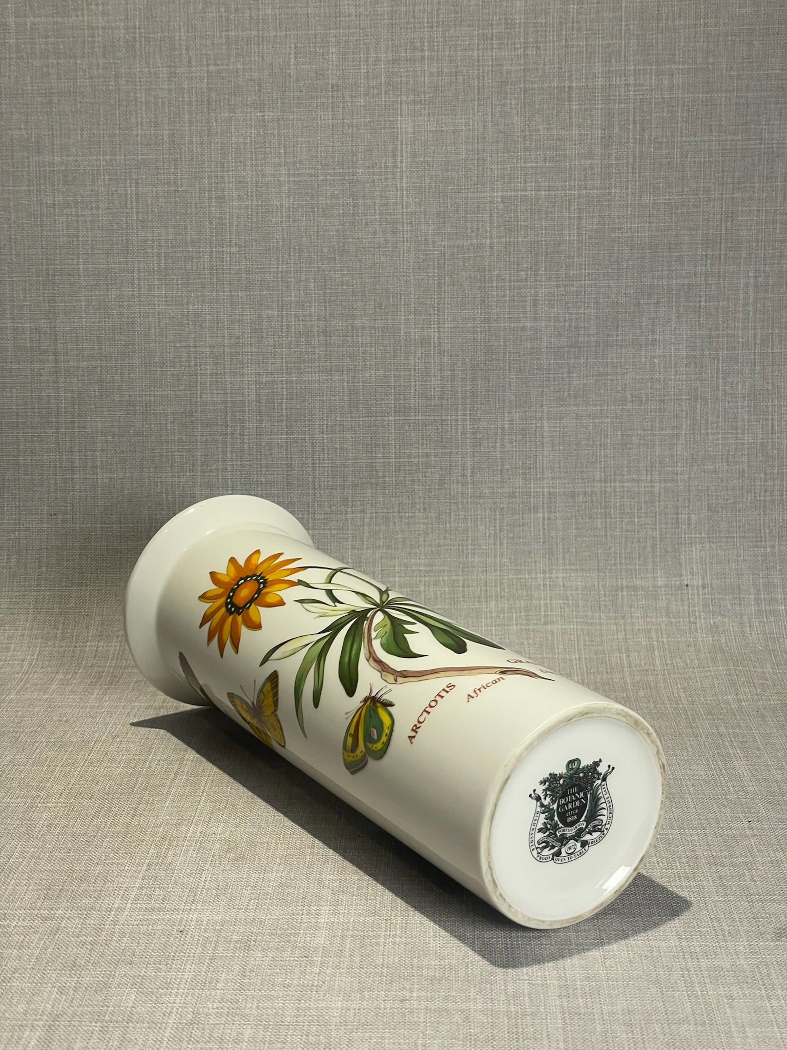 Portmeirion Botanic Garden Tall Cylinder Vase with African Daisy & Butterfly Motif