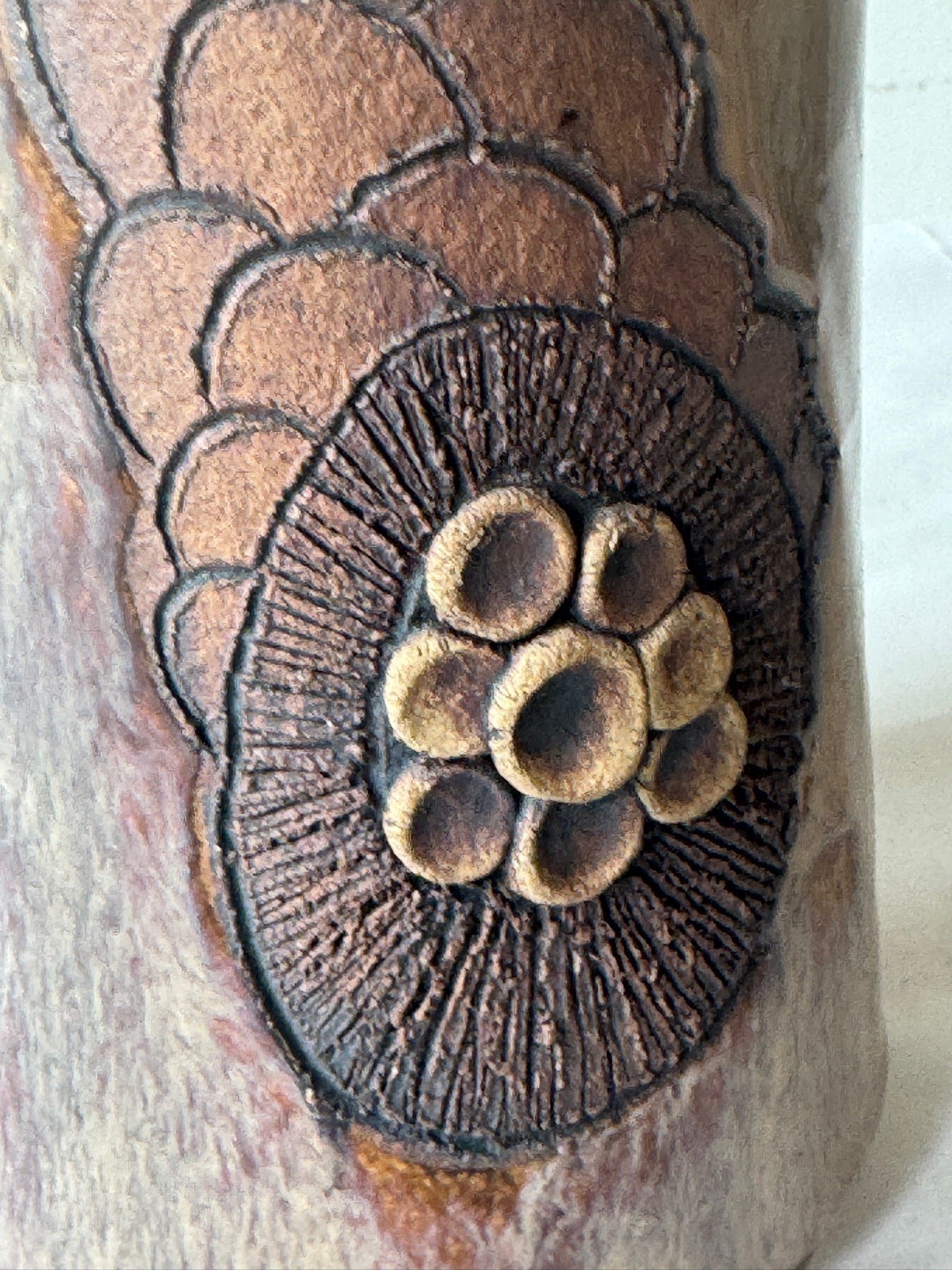 Handcrafted Glazed Stoneware Studio Pottery Vase with Relief Floral Motif
