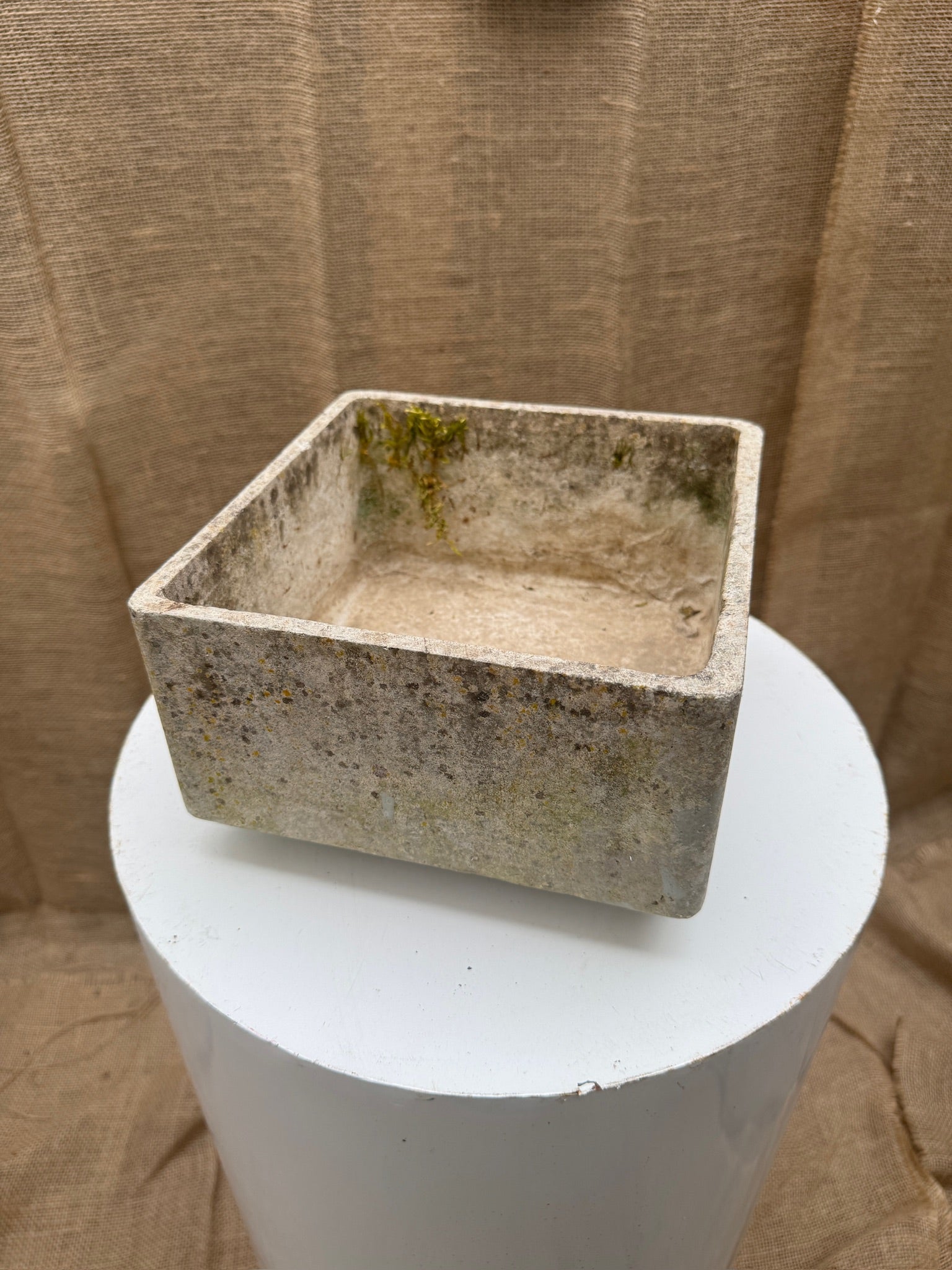 Vintage Willy Guhl Square Planter with Natural Weathered Patina