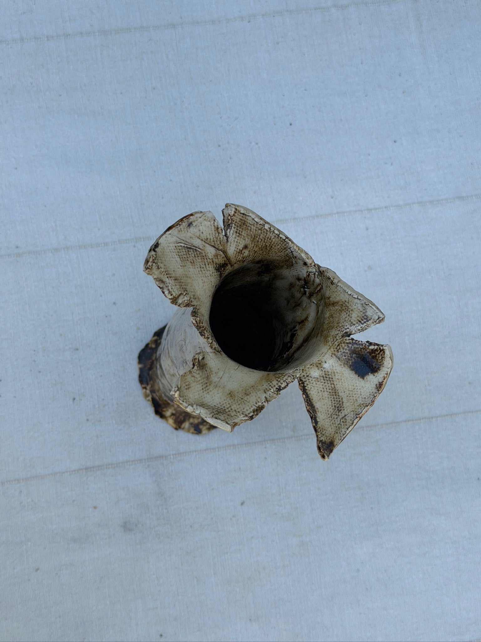 Handbuilt Textured Ceramic Tree Bark Vase with Ruffled Flower Rim