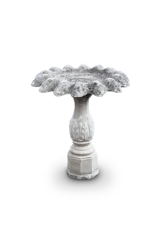Antique Concrete Bird Bath