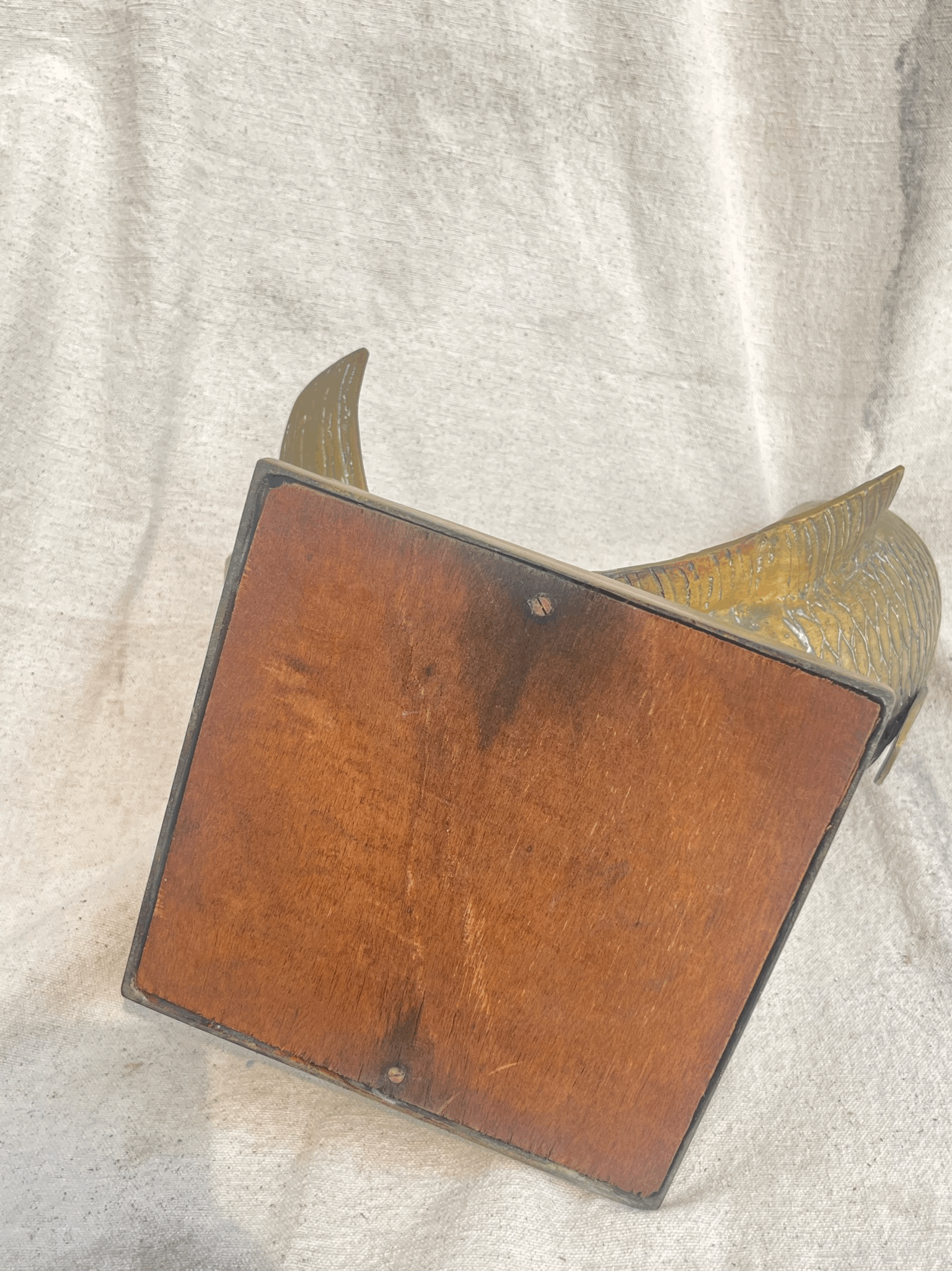 Solid Brass Fish Vase with decorative fish design, showcasing unique craftsmanship and style, hommes + gardens estudio.