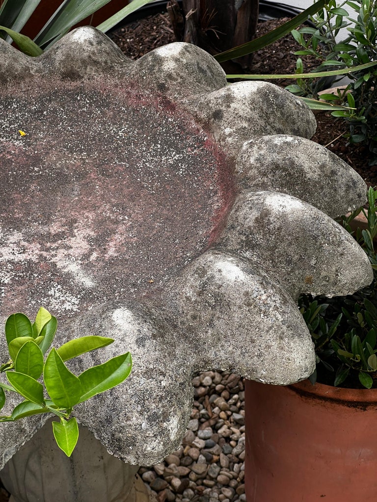 Concrete flower petal birdbath with vintage fluted column base and sculptural form, aged patina ideal for cottage garden settings — Hommes and Gardens, Water Features Collection, Landscape Architect, Interior Designer, Outdoor Living, Outdoor Decorations, Home Decor, Home Design, Luxury Design, Art, Furniture, Objects, Best Gifts, Nature, Backyard, Yard.