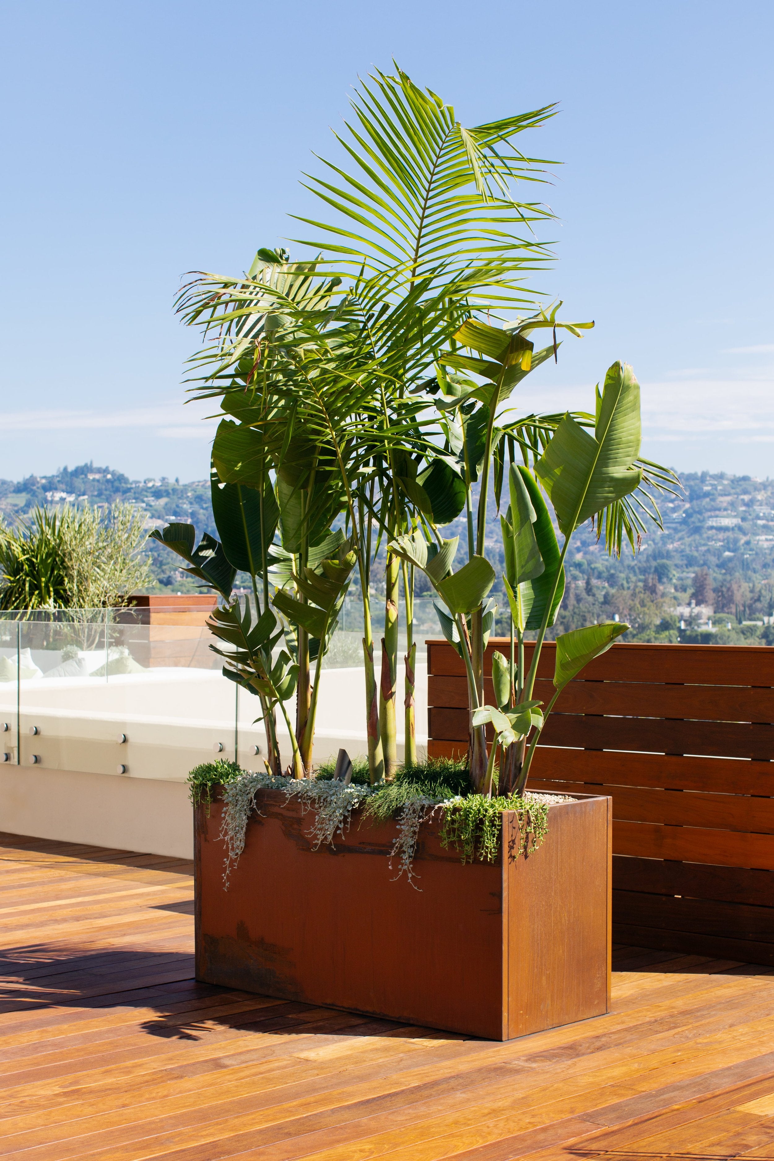 Corten steel rectangular planter with sleek modern design, ideal for edible gardens or contemporary outdoor décor — Hommes and Gardens, Pots + Planters Collection, home decor, garden decor, outdoor decorations, home design, luxury design, Landscape Architect, Interior Designer, Outdoor Living, Art, Furniture, Objects, Best Gifts, Nature, Backyard, Yard.