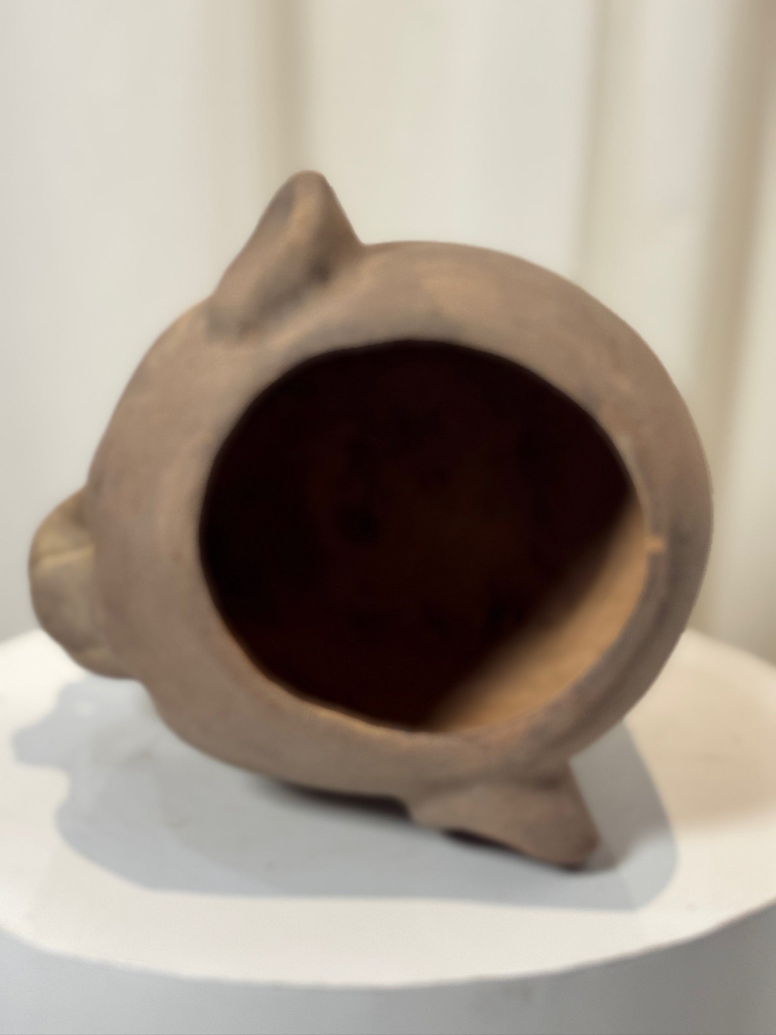 Vintage Jaguar Pot in the Style of Zoomorphic Pot from Tabasco - top view showcasing intricate design. hommes + gardens estudio.