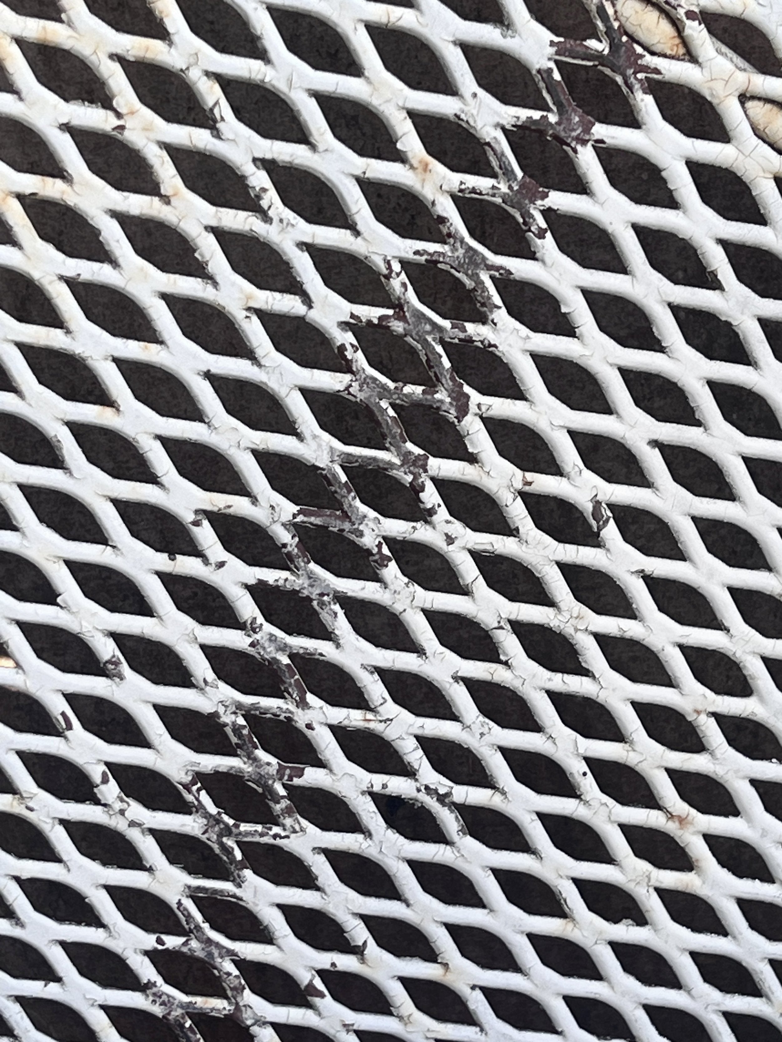 Close-up texture of vintage white wrought iron mesh pattern, showcasing unique paint wear and charm. hommes + gardens estudio