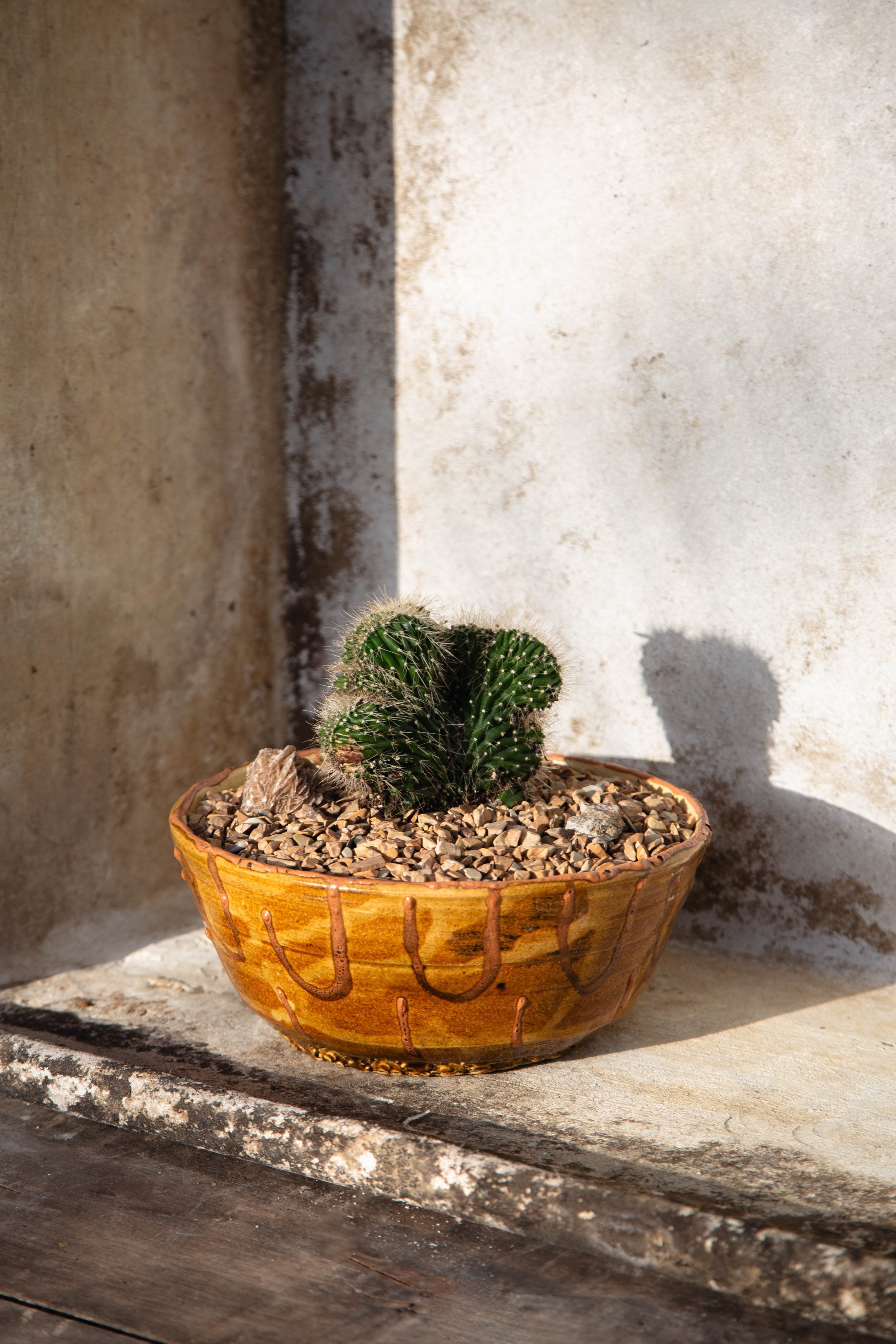Neobuxbaumia Euphorbioides ‘Cristata’ in a vintage handmade ochre ceramic bowl with natural wood rock topper, an elegant sculptural plant arrangement — Hommes and Gardens, Plant Arrangements Collection, Landscape Architect, Interior Designer, Outdoor Living, Outdoor Decorations, Home Decor, Home Design, Luxury Design, Art, Furniture, Objects, Best Gifts, Nature, Backyard, Yard.