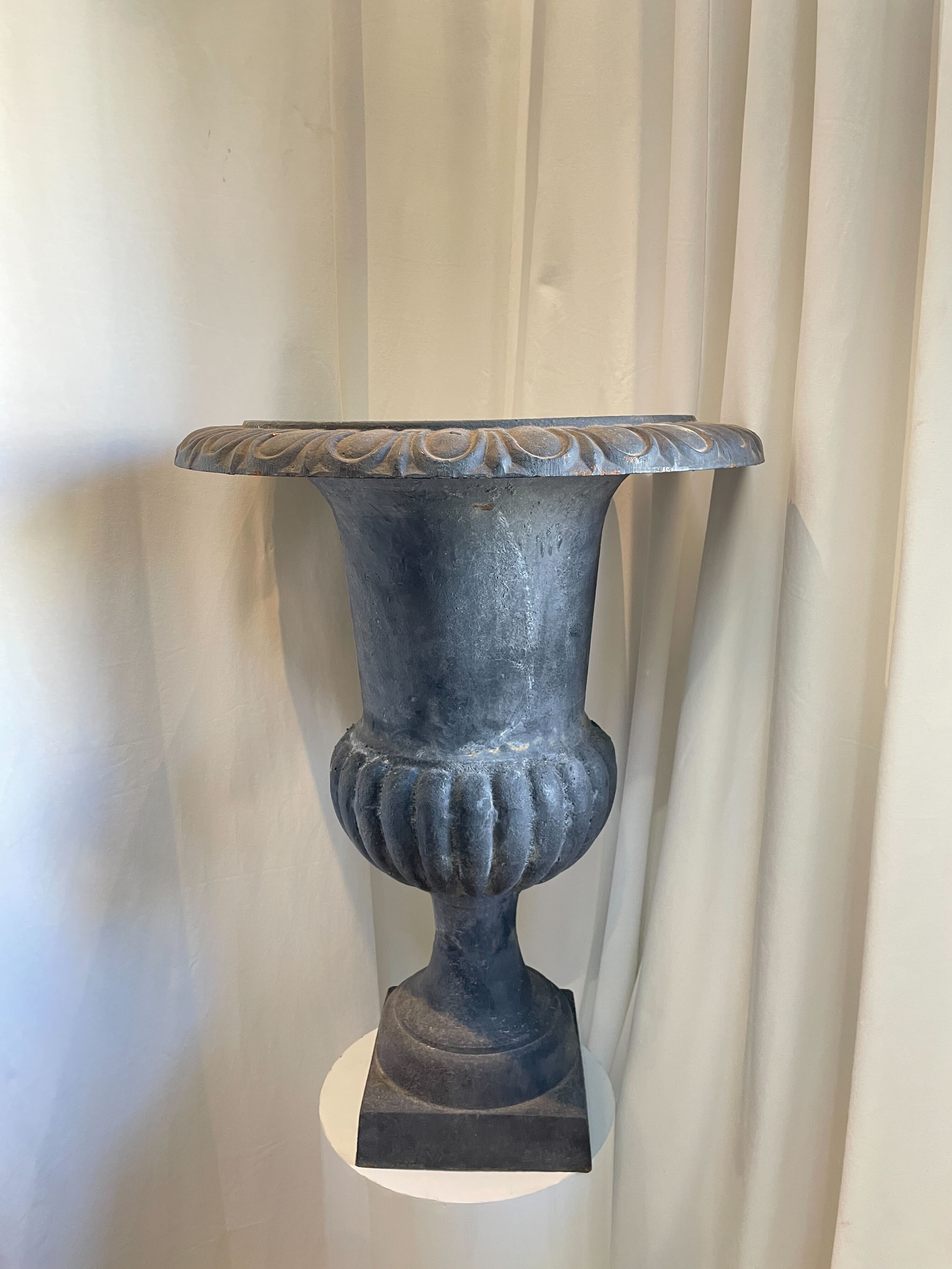 Pair of 29" French Cast Iron Urn Black Planters displayed indoors with elegant design and antique finish. hommes + gardens estudio.