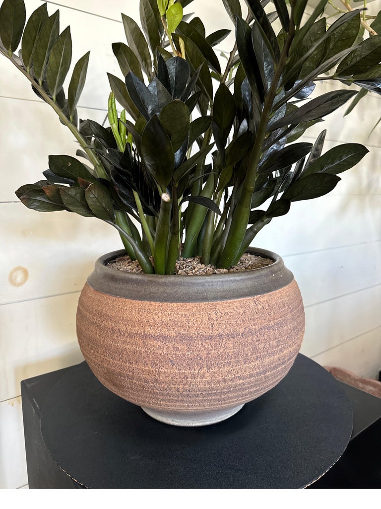 Vintage Bob Kinzie ribbed stoneware planter in warm brown tones, mid-century modern ceramic artistry with timeless aesthetic — Hommes and Gardens, Pots + Vessels Collection, Landscape Architect, Interior Designer, Outdoor Living, Outdoor Decorations, Home Decor, Home Design, Luxury Design, Art, Furniture, Objects, Best Gifts, Nature, Backyard, Yard.