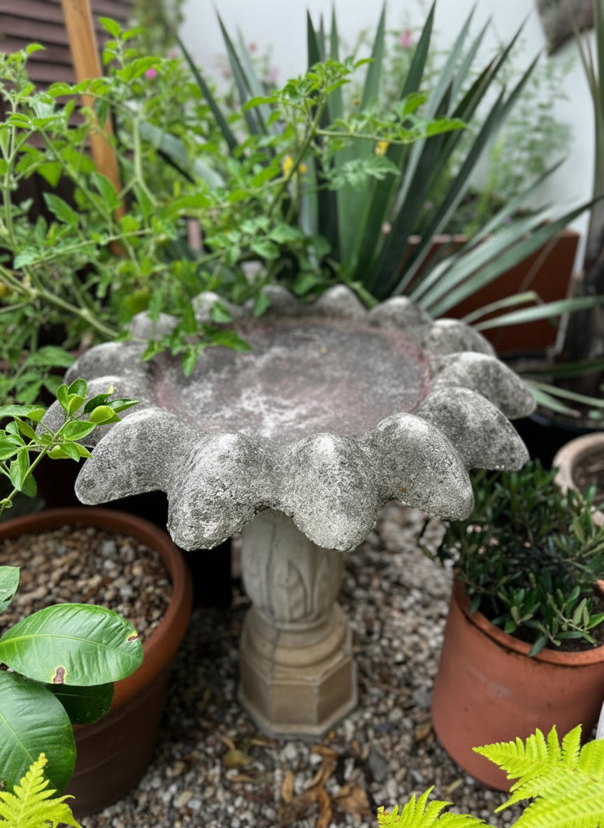 Vintage concrete flower petal birdbath on fluted pedestal, featuring sculptural scalloped basin, octagonal plinth, and natural weathered patina — Hommes and Gardens, Water Features Collection, Landscape Architect, Interior Designer, Outdoor Living, Outdoor Decorations, Home Decor, Home Design, Luxury Design, Art, Furniture, Objects, Best Gifts, Nature, Backyard, Yard.