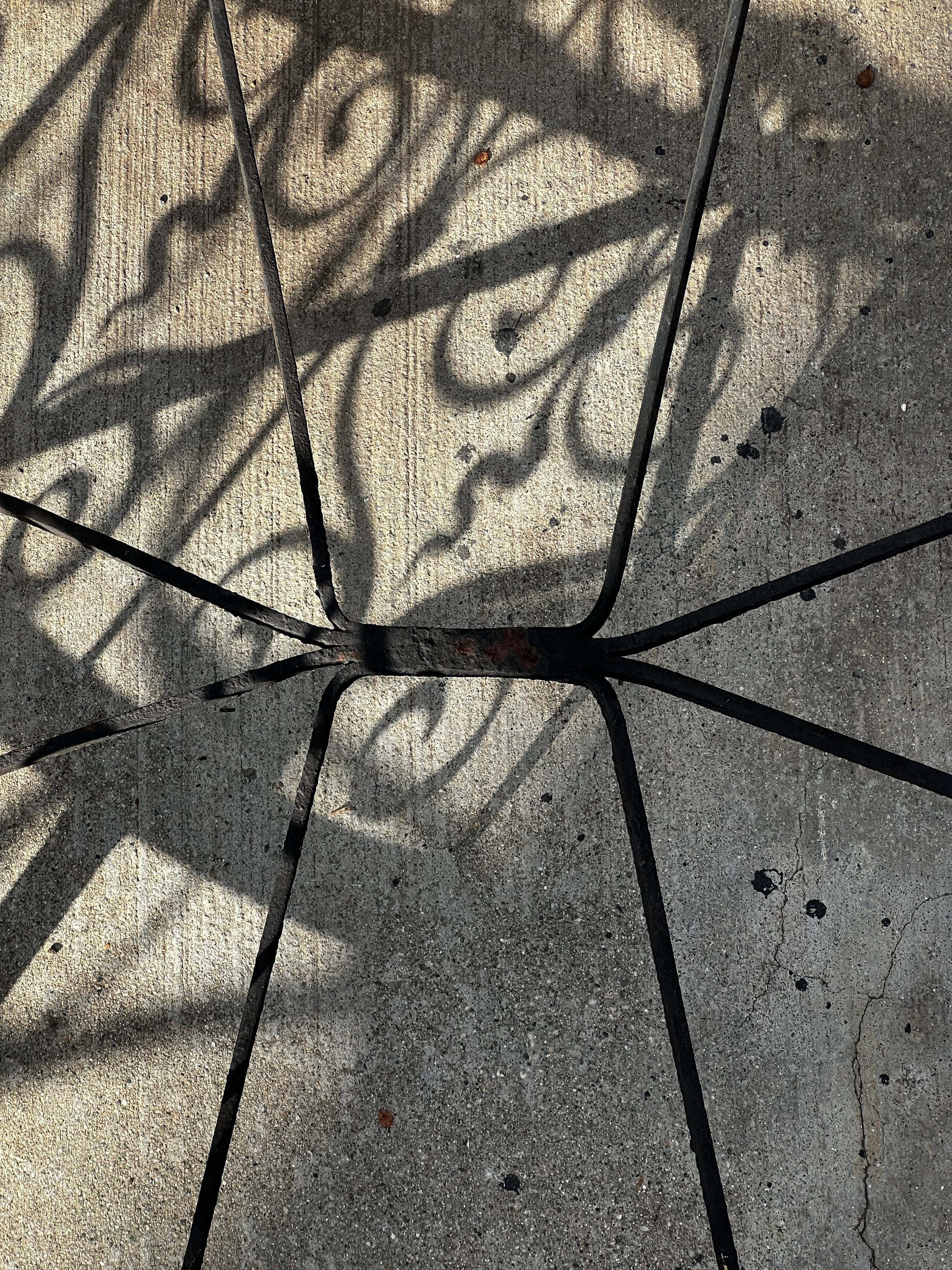 Shadow pattern on a concrete surface from a Victorian Oval Wrought Iron Plant Holder, showcasing intricate designs and elegant detail. hommes + gardens estudio.