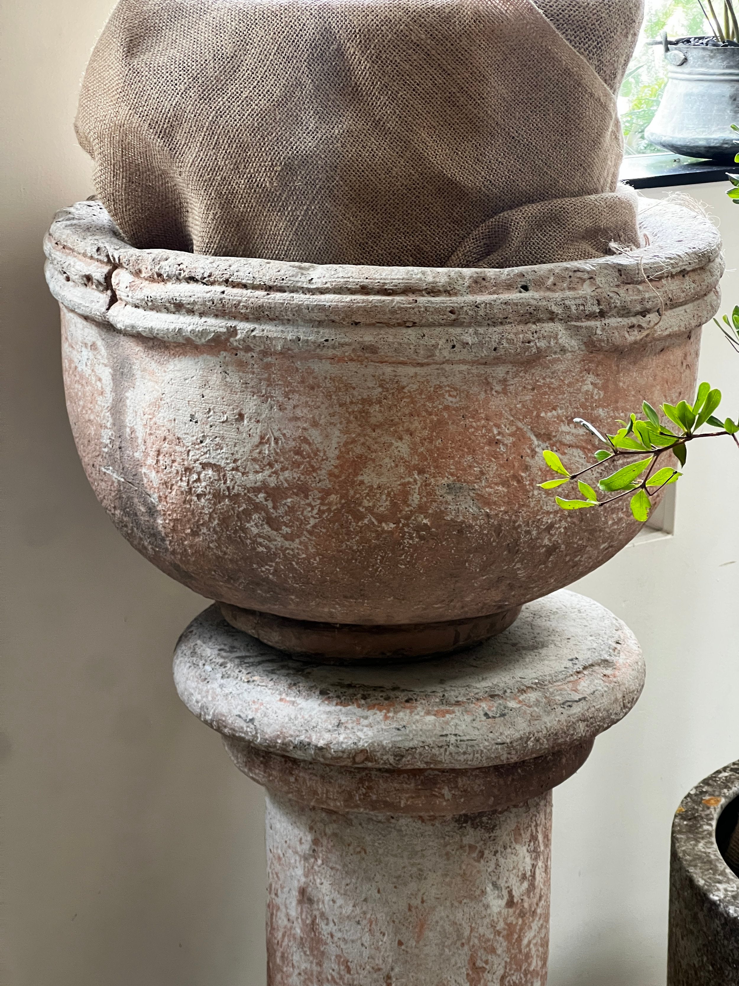 Vintage Sevilla Stone Planter w/ Pedestal showcasing its elegant design, perfect for plants. hommes + gardens estudio.