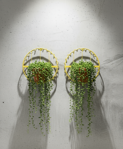 Set of two vintage yellow metal wall-mounted basket holders with scalloped wire design, ideal for planters or decorative storage, featuring cheerful mid-century style — Hommes and Gardens, Home Decor Collection, Wallscape, landscape design, plant design, Landscape Architect, Interior Designer, Outdoor Living, Outdoor Decorations, Home Design, Luxury Design, Art, Furniture, Objects, Best Gifts, Nature, Backyard, Yard.