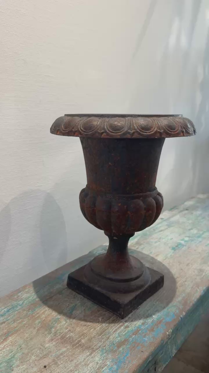 Antique French Neoclassical Cast Iron Mini Urn Planter – Aged Patina, showcasing fluted tulip shape and scalloped rim. hommes + gardens estudio.