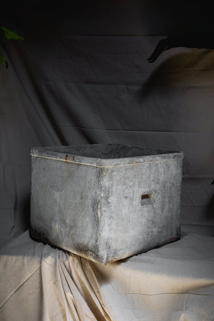 Willy Guhl Square Planter